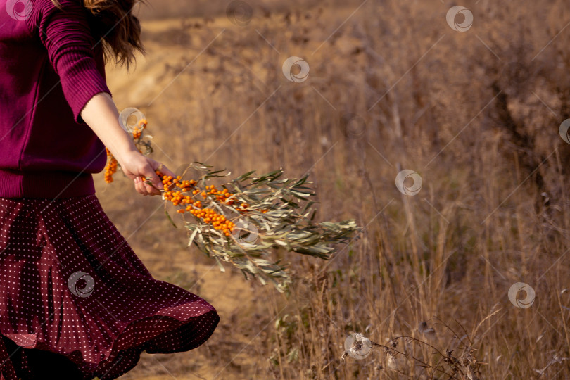 Скачать женские руки держат ветки облепихи фотосток Ozero