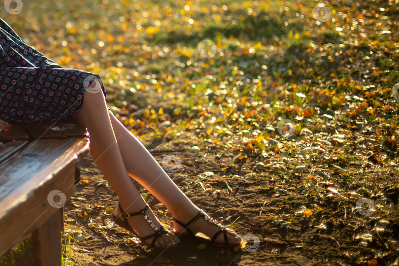 Скачать укороченное изображение стройных женских ног фотосток Ozero