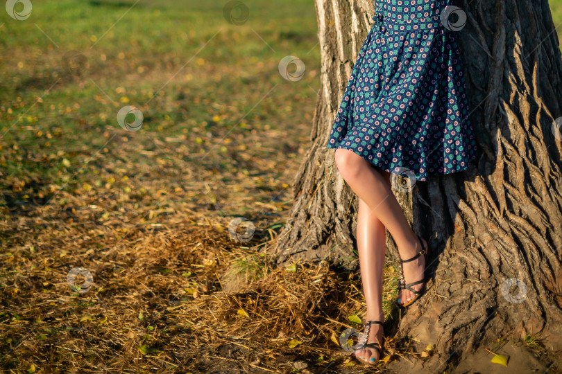 Скачать укороченное изображение стройных женских ног фотосток Ozero