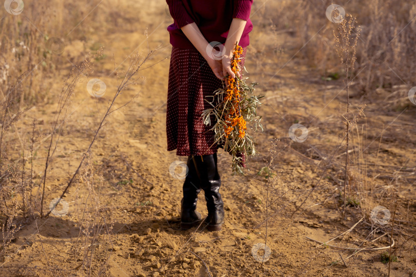 Скачать обрезанное изображение женских ног фотосток Ozero