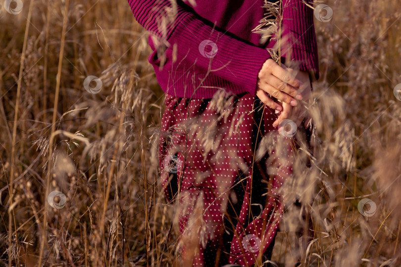 Скачать руки женщины в вязаном свитере и юбке, стоящей в поле с сухой травой фотосток Ozero
