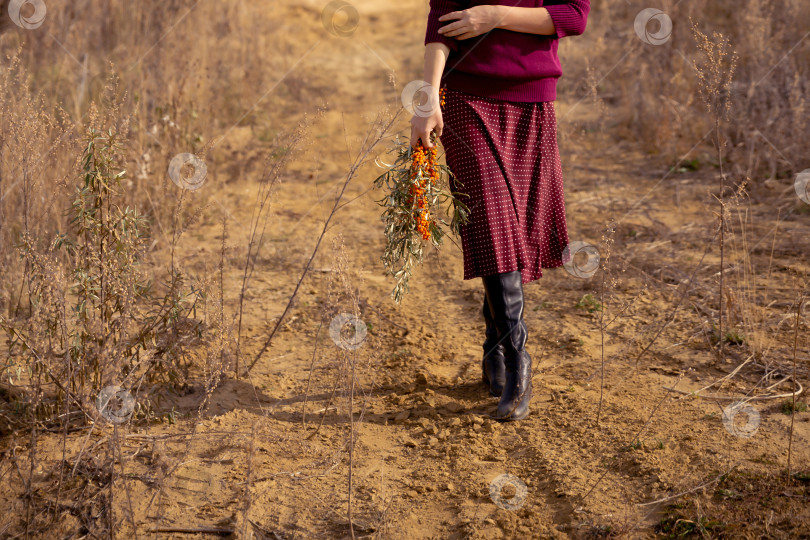 Скачать обрезанное изображение женских ног фотосток Ozero