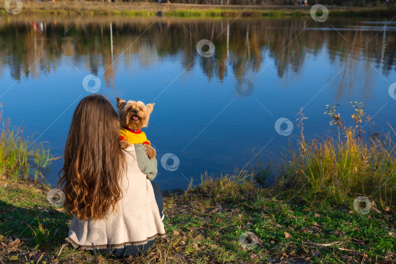 Скачать женщина с маленькой собачкой йоркширским терьером сидит на траве на берегу пруда фотосток Ozero