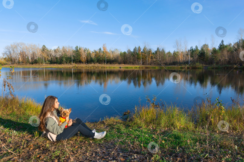 Скачать женщина с маленькой собачкой йоркширским терьером сидит на траве на берегу пруда фотосток Ozero