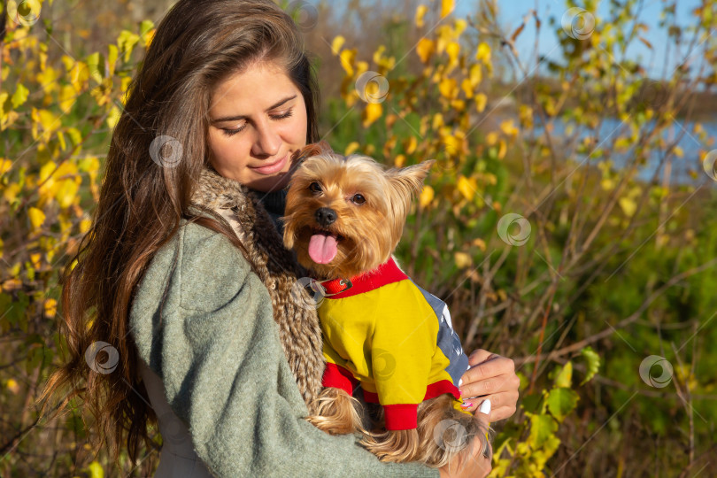 Скачать женщина с собакой породы йоркширский терьер на руках фотосток Ozero