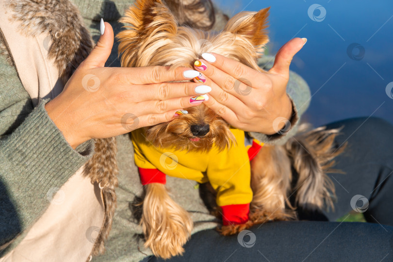 Скачать женщина закрыла глаза собаке руками фотосток Ozero