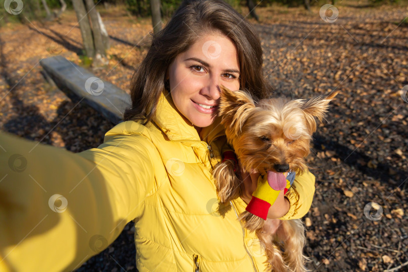 Скачать женщина делает селфи на смартфон со своей маленькой собачкой фотосток Ozero