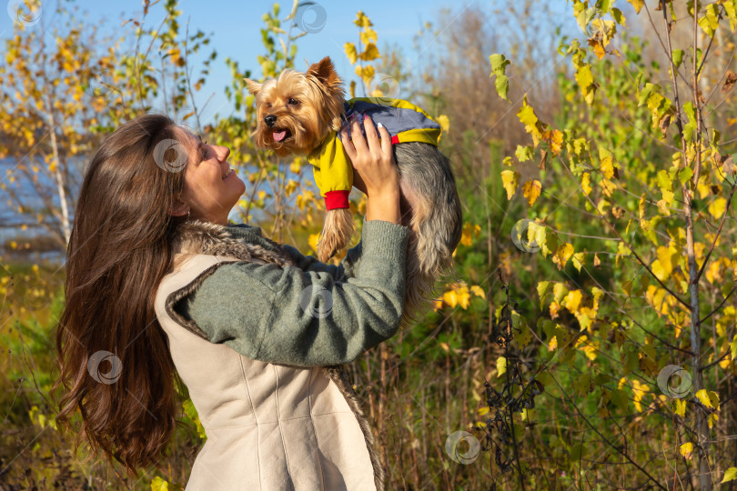 Скачать женщина с собакой породы йоркширский терьер на руках фотосток Ozero