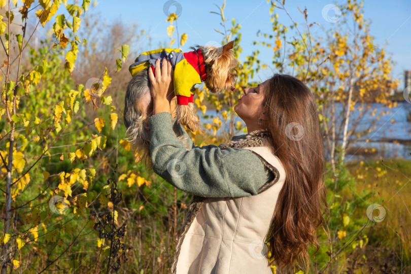 Скачать женщина с собакой породы йоркширский терьер на руках фотосток Ozero