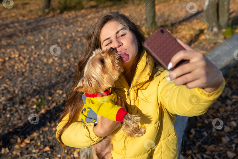 Скачать женщина делает селфи на смартфон со своей маленькой собачкой фотосток Ozero