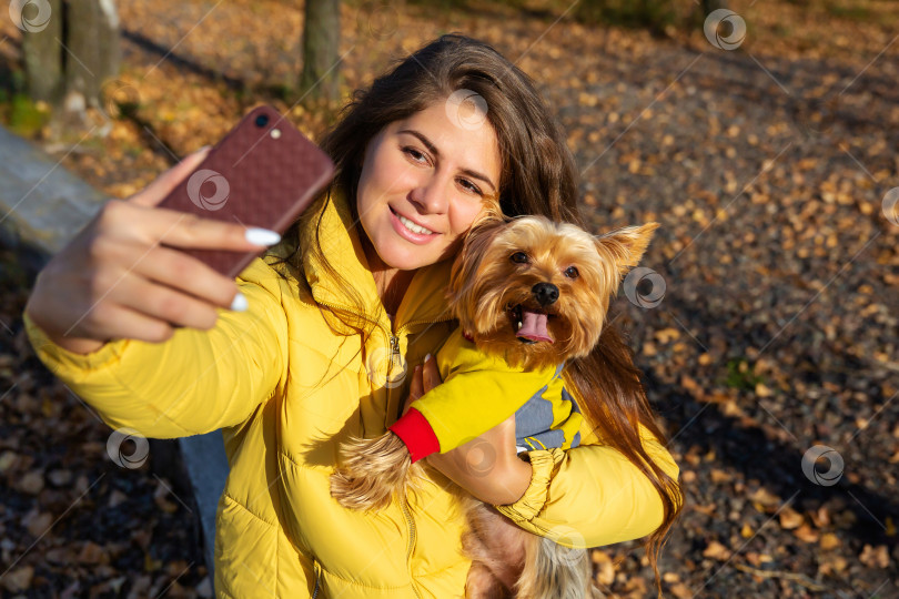 Скачать женщина с собакой йоркширским терьером делает селфи на смартфон фотосток Ozero