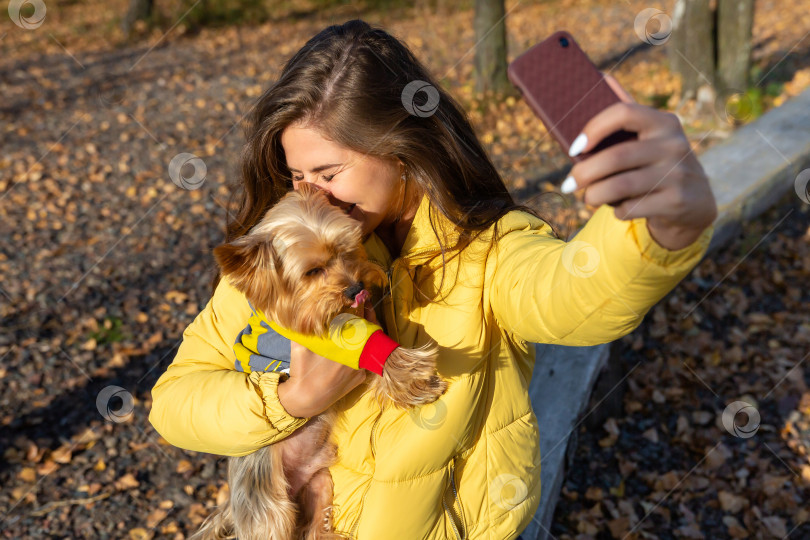 Скачать женщина делает селфи на смартфон со своей маленькой собачкой фотосток Ozero