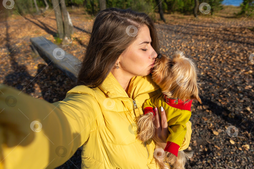 Скачать женщина делает селфи на смартфон со своей маленькой собачкой фотосток Ozero