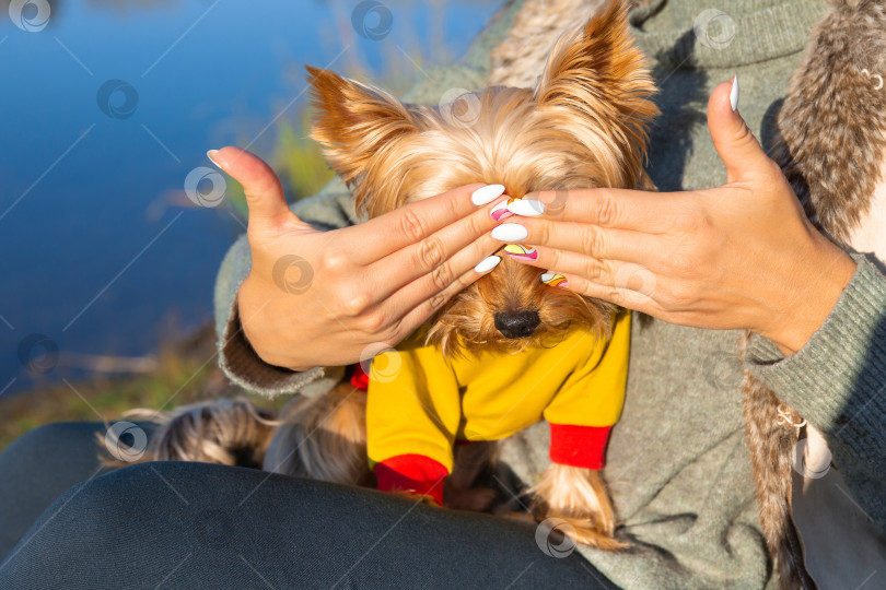 Скачать женщина закрыла глаза собаке руками фотосток Ozero