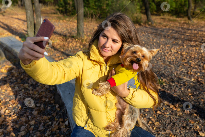 Скачать женщина делает селфи на смартфон со своей маленькой собачкой фотосток Ozero