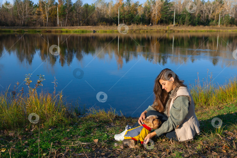 Скачать женщина с маленькой собачкой йоркширским терьером сидит на траве на берегу пруда фотосток Ozero