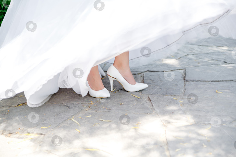 Скачать укороченное изображение женских ног в туфлях фотосток Ozero