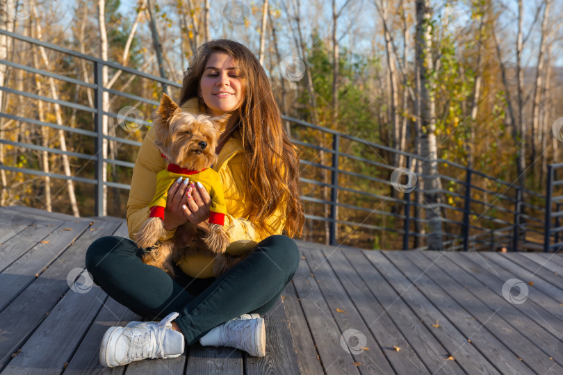 Скачать женщина с собакой породы йоркширский терьер на руках фотосток Ozero