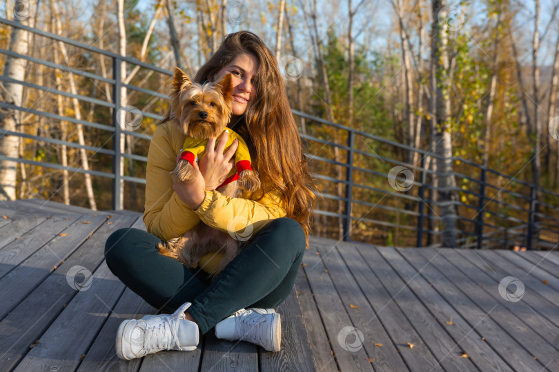 Скачать женщина с собакой породы йоркширский терьер на руках фотосток Ozero