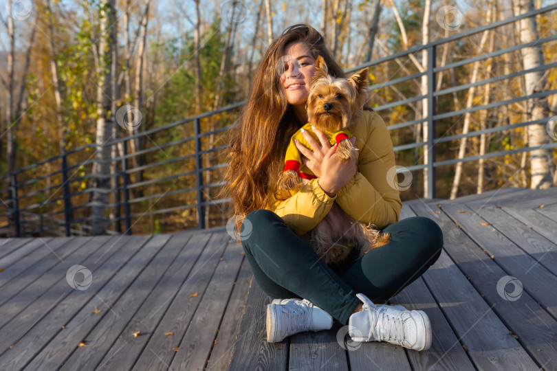Скачать женщина с собакой породы йоркширский терьер на руках фотосток Ozero