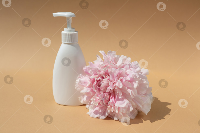 Скачать белая косметическая бутылочка и розовый бутон пиона на коричневом фоне. Увлажнение и здоровье кожи фотосток Ozero