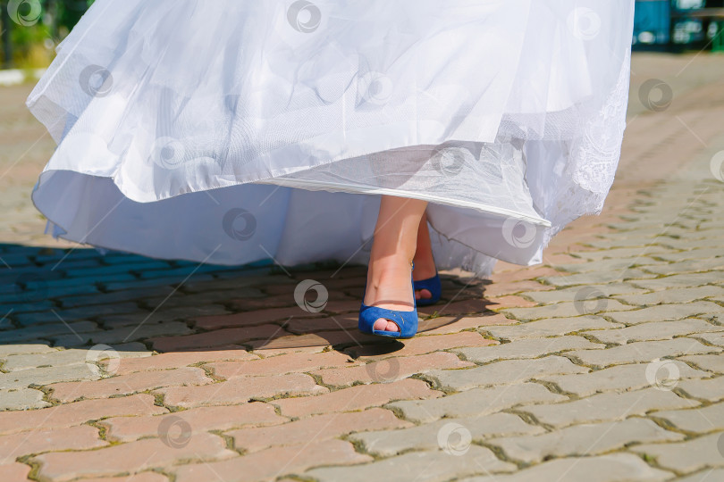 Скачать укороченное изображение женских ног в туфлях фотосток Ozero