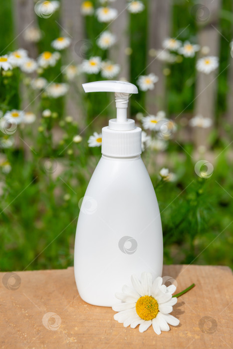 Скачать белый косметический флакон для мыла или шампуня на деревянной полке на фоне ромашки фотосток Ozero