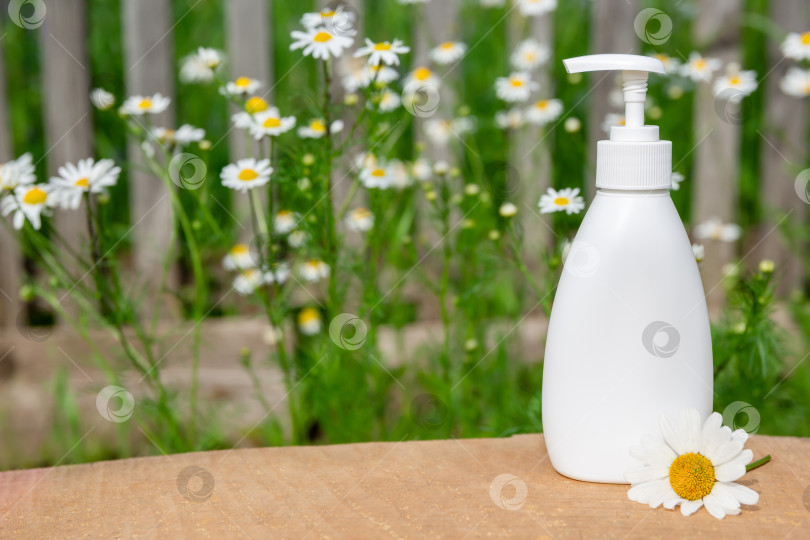 Скачать белая косметическая бутылочка для мыла или шампуня на деревянной полке на фоне ромашки. Место для вашего текста и продукта фотосток Ozero