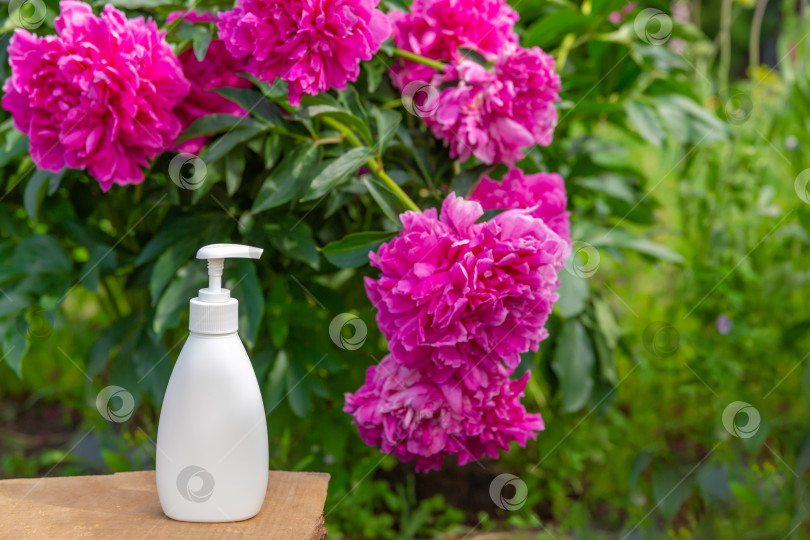 Скачать белая косметическая бутылочка для мыла или шампуня на деревянной полке на фоне пионов. Для демонстрации вашего продукта фотосток Ozero