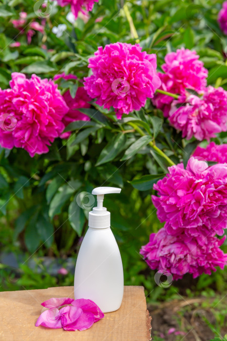 Скачать косметический флакон для мыла или шампуня на деревянной полке на фоне пионов. Монтаж вашего продукта фотосток Ozero