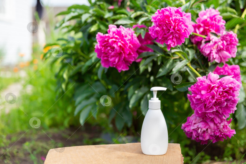 Скачать белая косметическая бутылочка для мыла или шампуня на деревянной полке на фоне пионов. Для демонстрации вашего продукта фотосток Ozero
