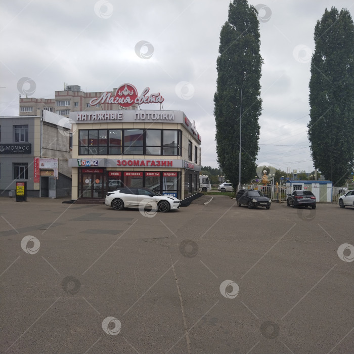 Скачать Зоомагазин "Томас". фотосток Ozero