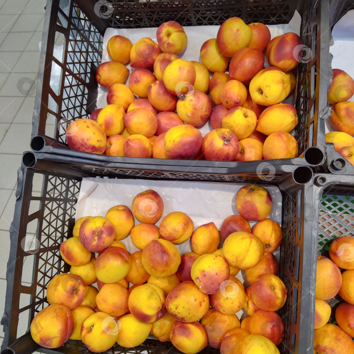 Скачать Отдел нектаринов в магазине "Магнит". фотосток Ozero