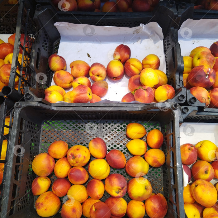 Скачать Отдел нектаринов в магазине "Магнит". фотосток Ozero