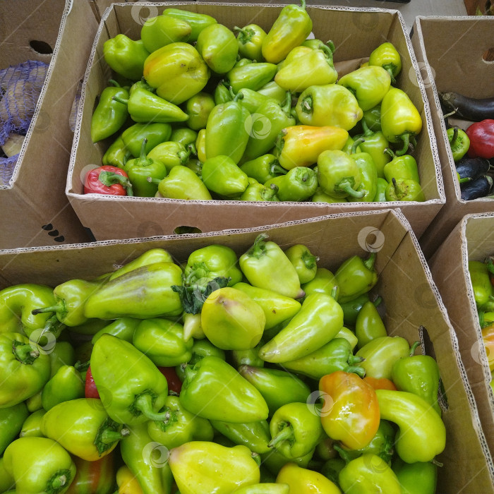 Скачать Отдел перцев в магазине "Победа". фотосток Ozero