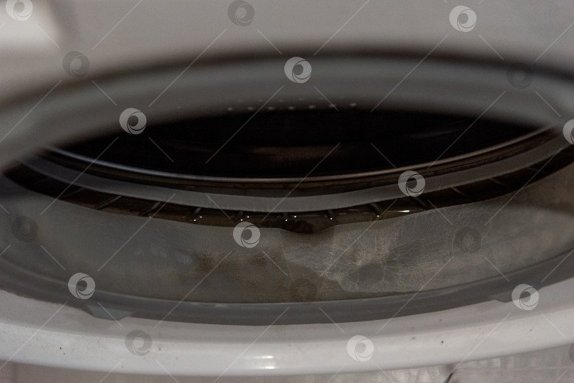Скачать Резиновая прокладка барабана стиральной машины покрыта плесенью и известковым налетом от жесткой воды фотосток Ozero
