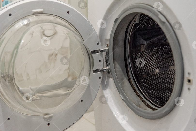 Скачать Резиновая прокладка барабана стиральной машины покрыта плесенью и известковым налетом от жесткой воды фотосток Ozero