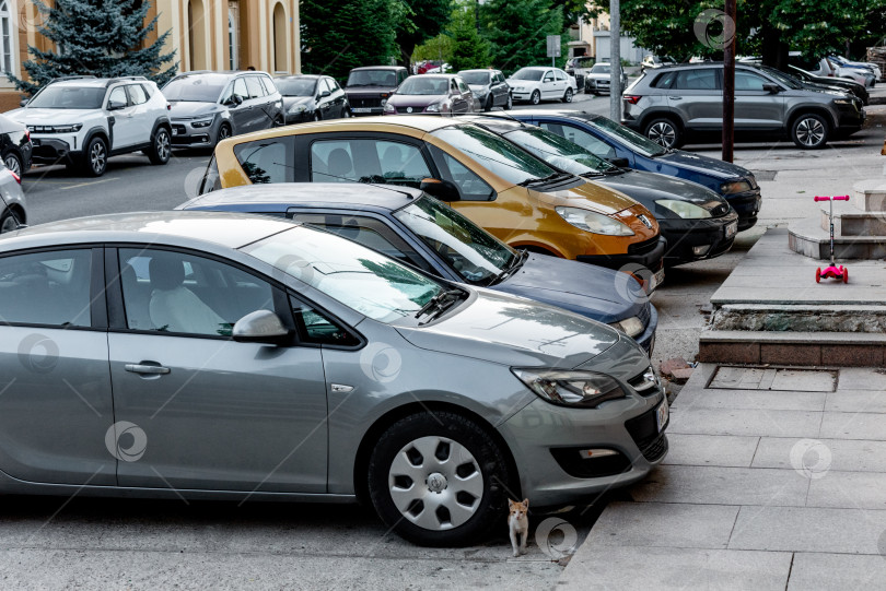 Скачать Цетинье, Черногория, 3 августа 2025 года, Автомобили стоят в ряд на парковке фотосток Ozero