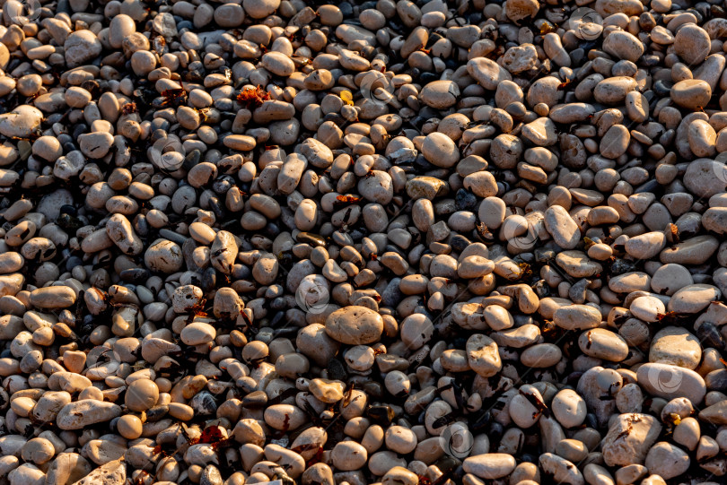 Скачать Текстура натурального камня с трещинами, растительностью и грязью, текстурный фон фотосток Ozero