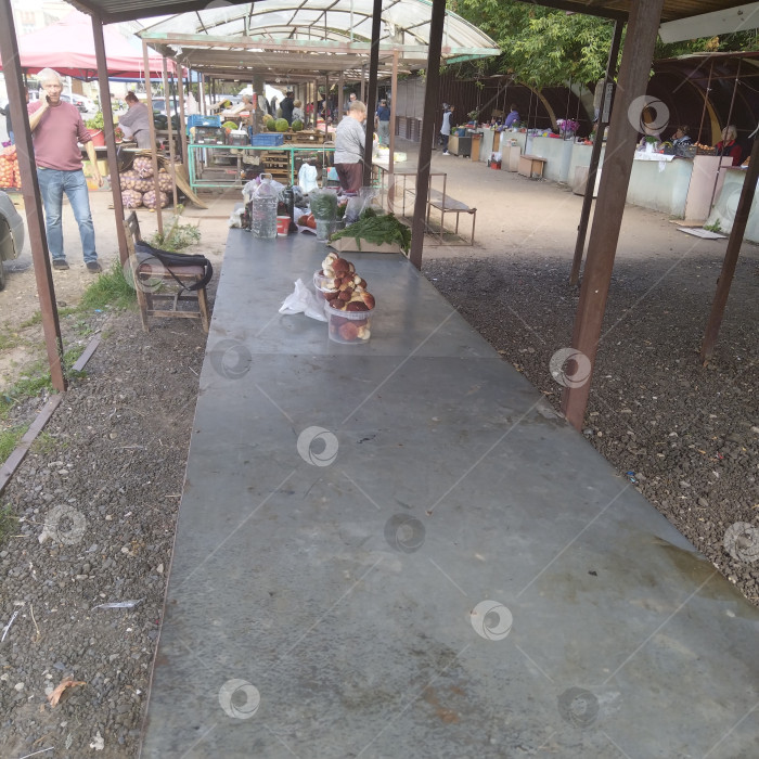 Скачать Белые грибы. фотосток Ozero