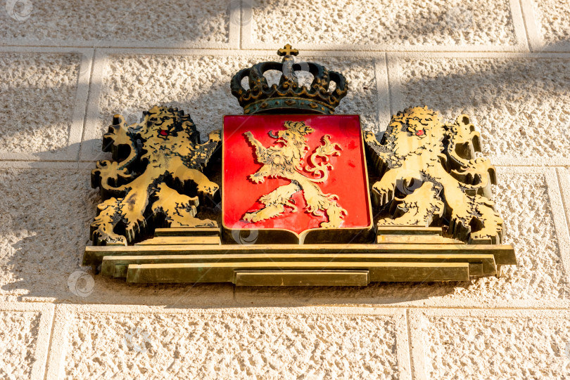 Скачать Национальный флаг независимого государства Черногория висит на бетонной стене здания фотосток Ozero