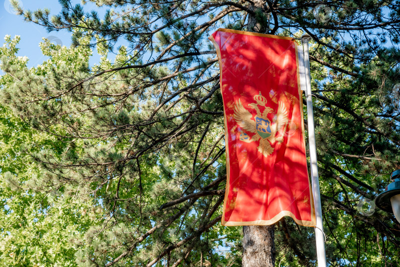 Скачать Национальный флаг независимого государства Черногория висит на флагштоке на фоне листвы фотосток Ozero