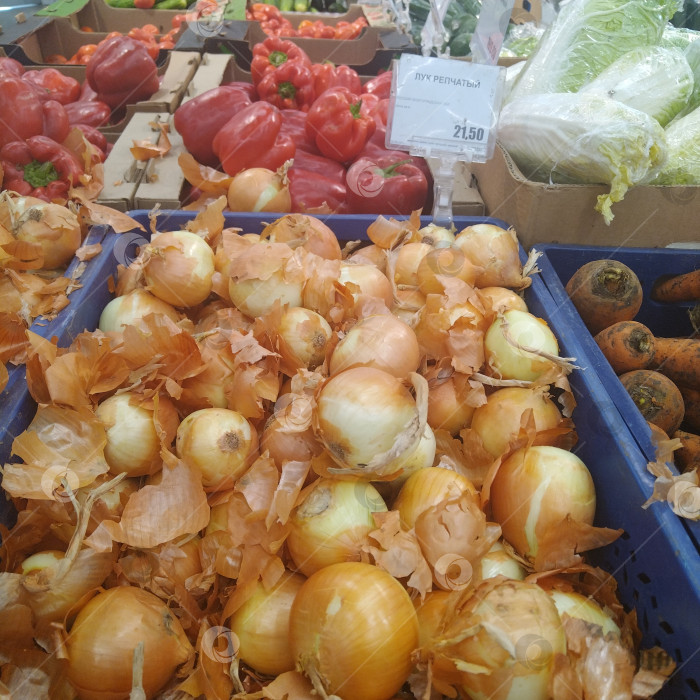 Скачать Он назвал луку в магаз "Умной". фотосток Ozero