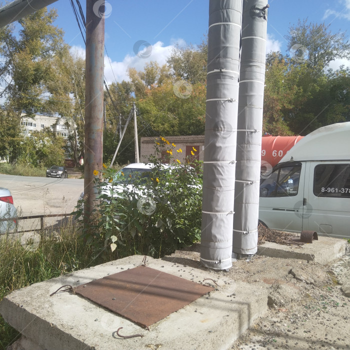 Скачать Подсолнухи. фотосток Ozero