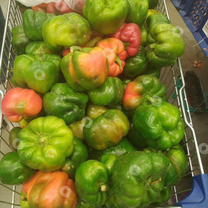 Скачать Он перешел в разряд "Умных". фотосток Ozero