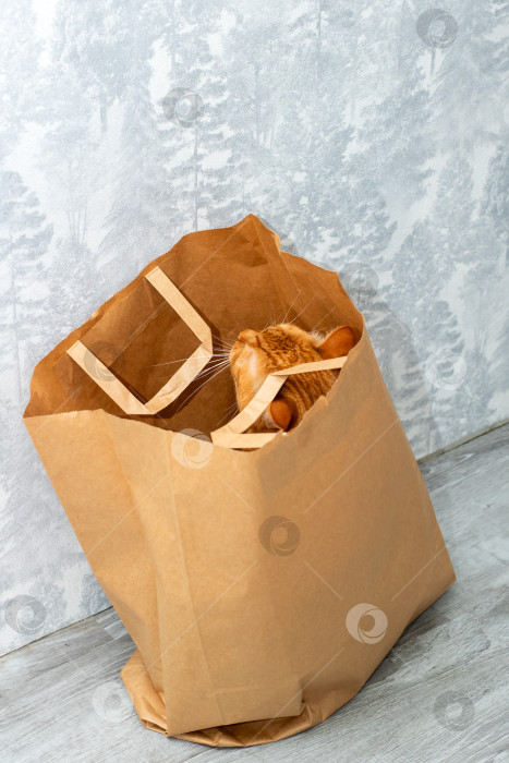 Скачать Коричневый бумажный пакет, полностью заполненный свежими хлебобулочными изделиями фотосток Ozero