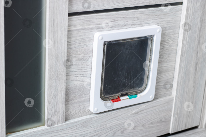 Скачать Опытные специалисты по установке дверей для домашних животных, доступные для оформления экстерьеров современных домов фотосток Ozero