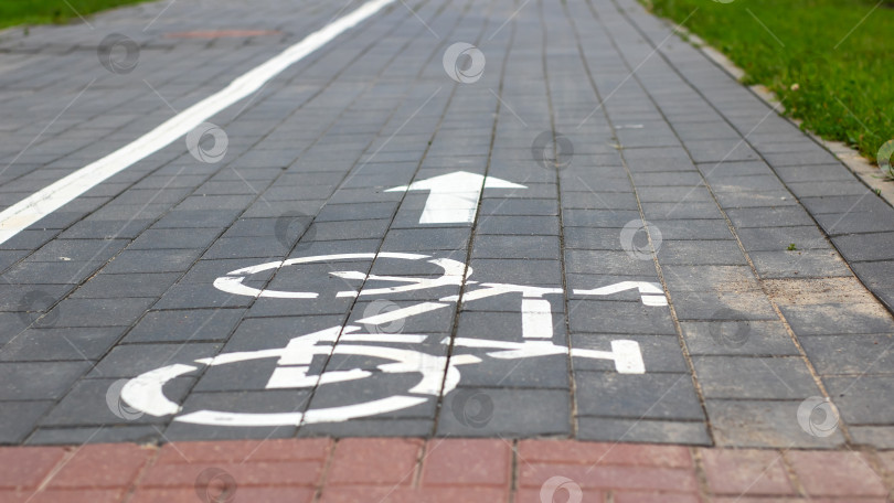 Скачать Велосипедная дорожка с указателями направлений движения на асфальтированном покрытии фотосток Ozero