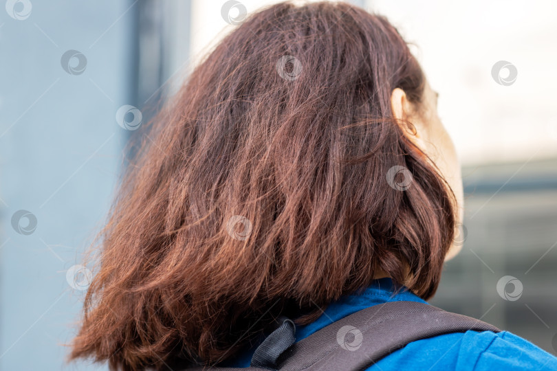 Скачать Волосы крупным планом с красивыми солнечными бликами фотосток Ozero