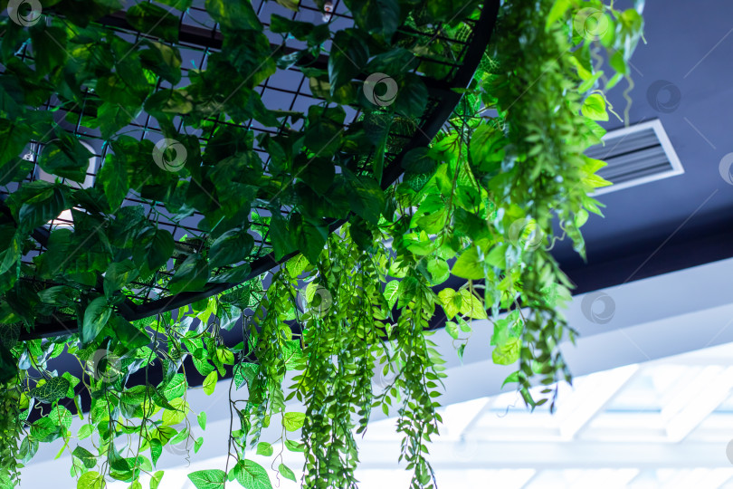 Скачать Красивое подвесное украшение из пышной зелени для внутренних помещений фотосток Ozero